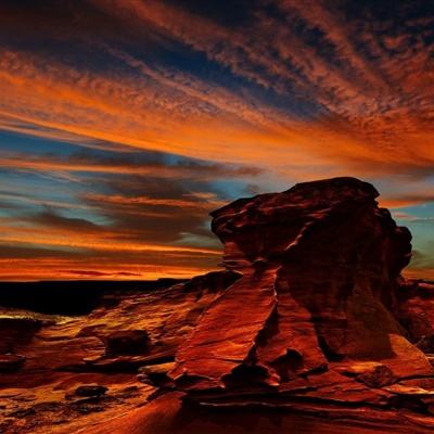 NG体育APP官方下载网址下载手机版