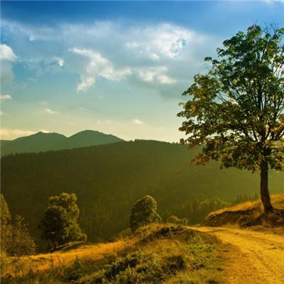 半岛官方APP入口手机app下载